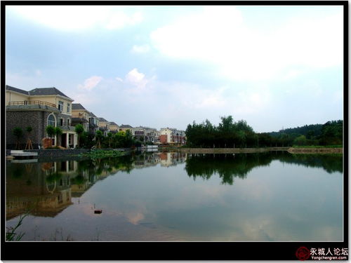 梓渝：那个带动家乡经济的小英雄