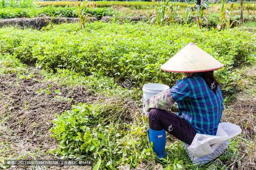 22岁女村支书离世，父亲发声背后的故事