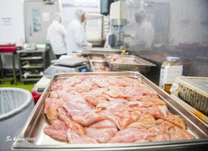 再也不信那些明星推荐的所谓美食啦！