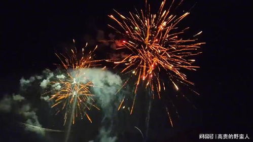 烟花庆祝