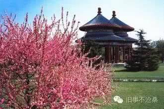 七夕花礼请查收，抖音商城带来超值惊喜！