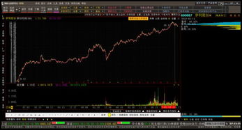 李大霄：冷静应对市场调整，投资需谨慎前行