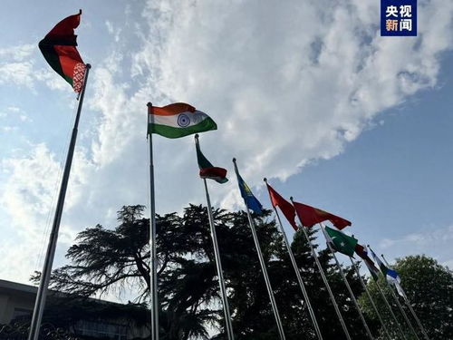 上合组织成员国国旗飘扬