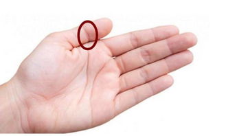 抖音热梗背后的故事：我愿以后能抓紧你的手