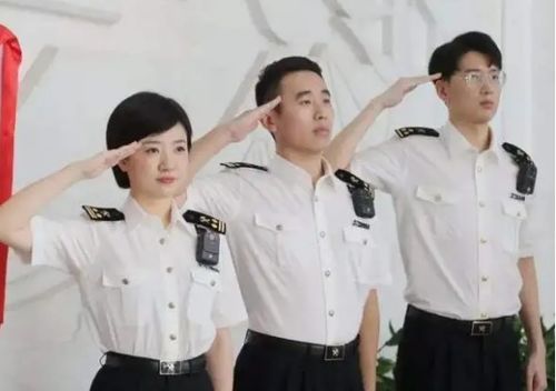 重要突破！所有嫌疑人身份大曝光，背后真相令人震惊