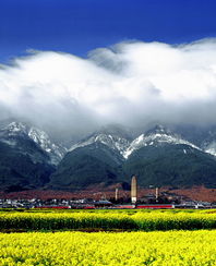 自闭症男童惨剧：大理苍山走失事件始末