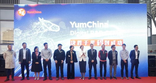 DingTalk A1研发过程