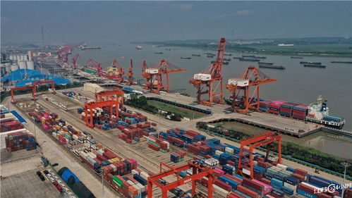 繁忙的港口码头堆满了集装箱