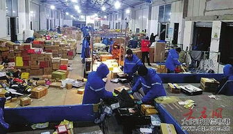 快递员正在忙碌地分拣包裹