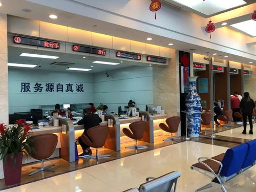 251万存款莫名消失，竟是六位老人所为！背后竟藏如此惊天骗局