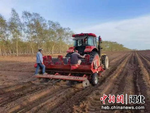 抖音上的奇妙之旅：5分钟沉浸式体验播种到收获