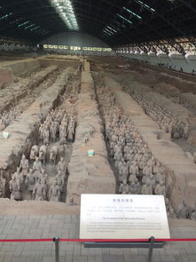 兵马俑壮观景象
