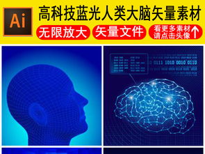 大脑神经元结构图