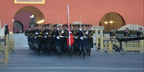 俄美等多国友人齐聚纪念活动，意义非凡！