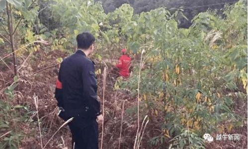 救援人员在山上全力搜救