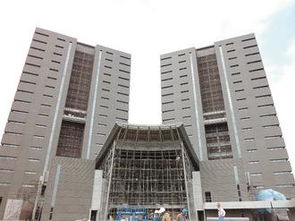 台当局禁止公职人员参加九三阅兵，背后有何考量？