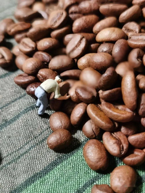 咖啡豆堆成的小山