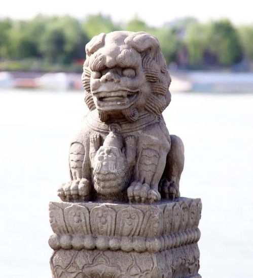卢沟桥上的石狮子