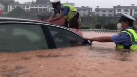 云南德宏洪灾后畜牧死亡？真相大揭秘！