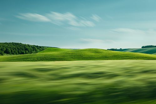 清新的自然风光