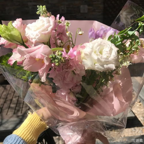 手拿鲜花的网友