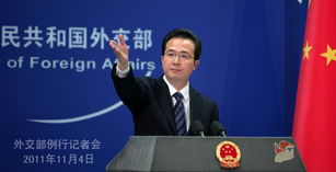 中国外交部发言人照片