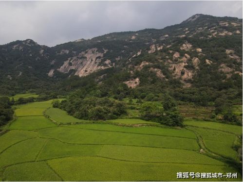 95后‘三无’婚礼：4万办出独特浪漫