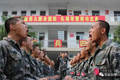 老兵新兵共同训练场景