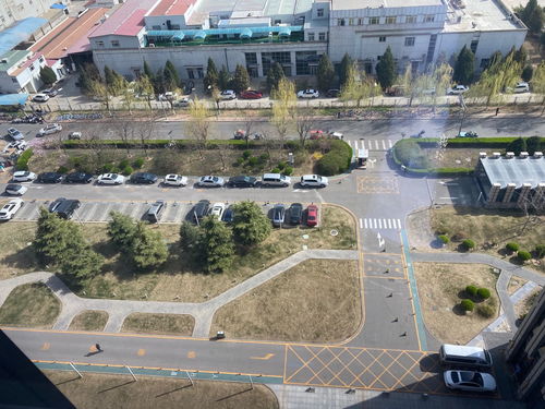 阿里AI投入进展：多领域开花，未来可期