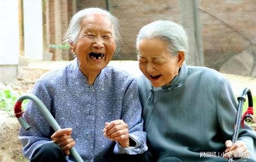 深圳退休夫妇欠1.2亿债务，背后真相引人深思