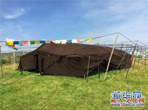 新人赛里木湖搭帐篷排队领证，只为一份爱的承诺