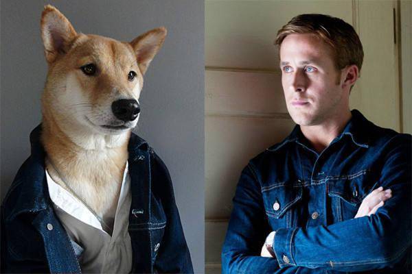 8月28日吧友们的快乐源泉——乐子内容限定大揭秘