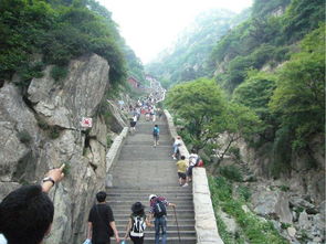 两位小姐姐请24位陪爬登顶泰山，背后故事引关注！