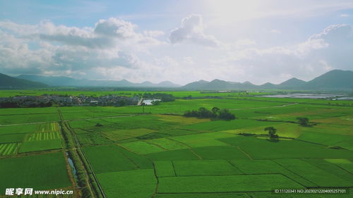 关税大战：中国彰显大国担当