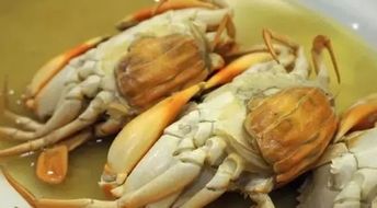 一群人在品尝崖门水蟹的画面