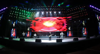 歌迷们兴奋地挥舞着荧光棒欢呼