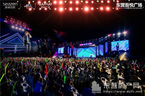 演唱会现场歌迷欢呼