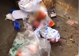 七夕垃圾桶寻宝火了！背后故事真有趣