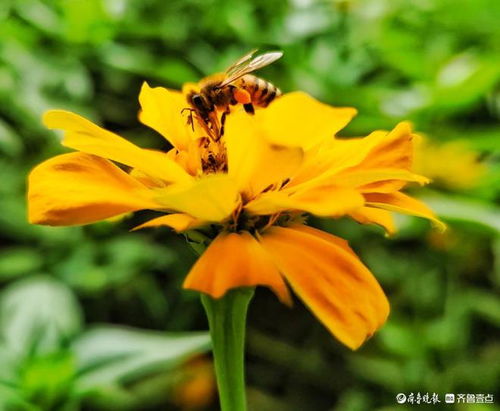 陶白白七夕支招：天蝎座快找点事做啦！