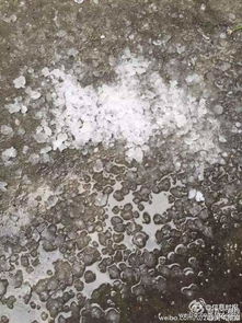 杭州上空惊现神秘景象，网友惊呼：是鹊桥吗？