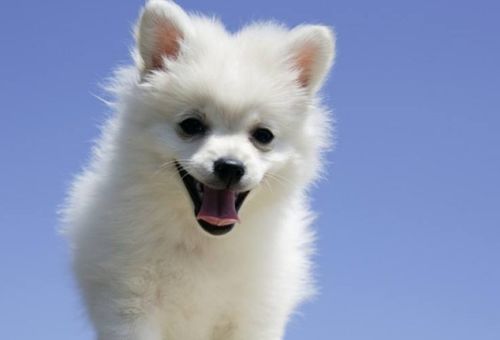 那些怎么撞都忘不掉的独特回忆