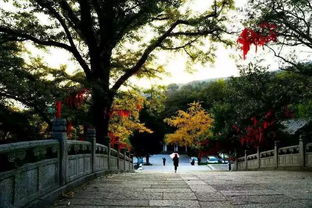 刘强东年轻时在花果山的照片