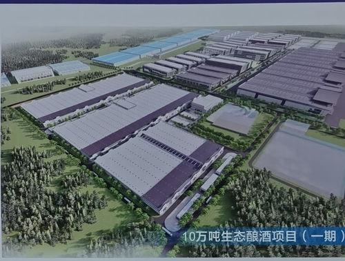 五粮液发展规划