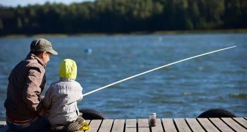 丈夫沉迷钓鱼被妻怒剪装备，背后故事引人深思