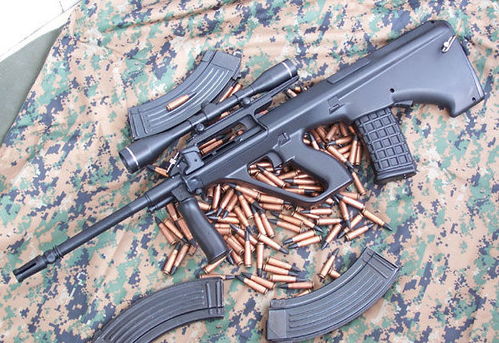 191式步枪内部构造