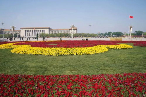 天安门广场花卉绿化局部