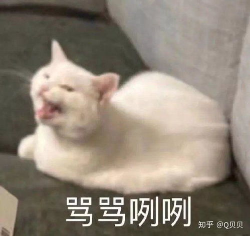 夫妻结婚5年未见过对方脸背后惊天秘密！