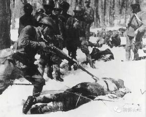 年轻人学习抗战历史