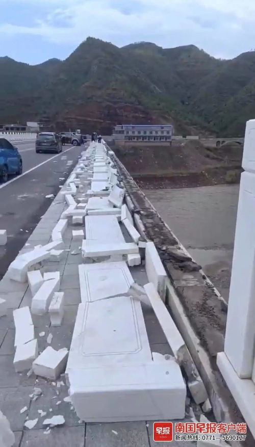 多人桥上跳水致护栏倒塌，背后真相令人震惊！