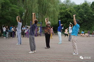 一群老年人欢快地跳着广场舞